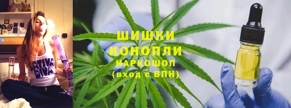 стафф Каменногорск