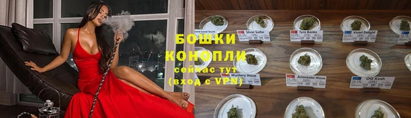 стафф Каменногорск