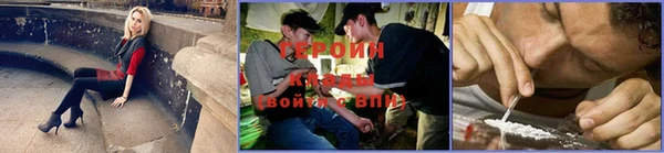 стафф Каменногорск