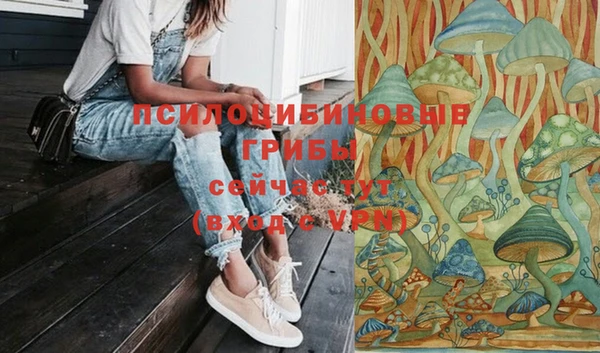 стафф Каменногорск