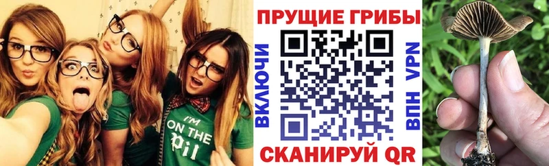 хочу   Ува  Псилоцибиновые грибы ЛСД 